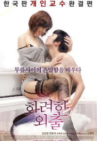 화려한 외출