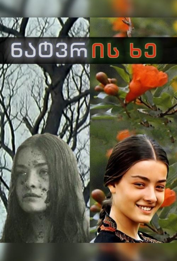 ნატვრის ხე